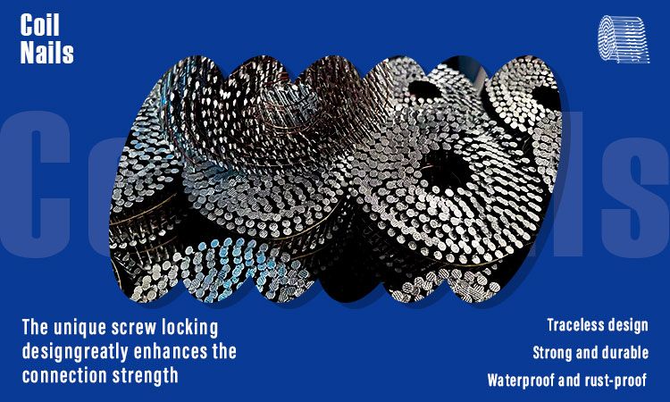 环纹卷钉-详情_01 环纹卷钉-详情_01