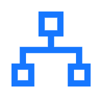 分支