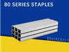 Rhinails 80 Series Galvanized Steel Staples | Full Size Range (1/4" To 3/5")