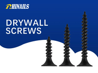 Rhinails Premium Drywall Screws Collection - 1022A Carbon Steel, Sizes 16-50mm for Fast Installation