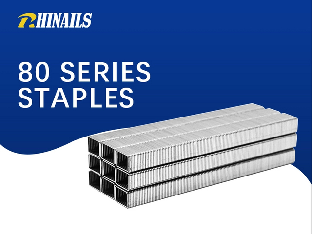 Rhinails 80 Series Galvanized Steel Staples | Full Size Range (1/4" To 3/5")