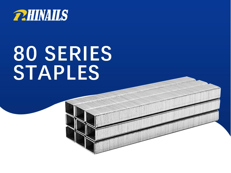 Rhinails 80 Series Galvanized Steel Staples | Full Size Range (1/4