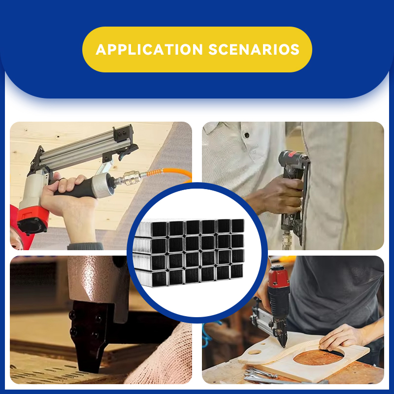 Rhinails 10F Series 22 Gauge Galvanized Pneumatic Staples (4mm to 13mm Length)