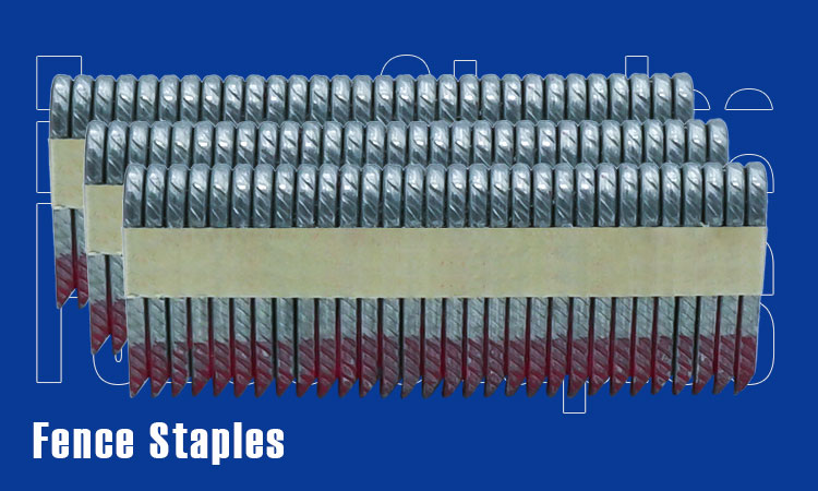 篱笆钉-螺纹-详情_01