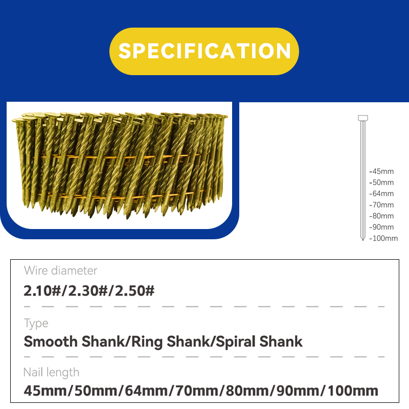 Rhinails Wholesale Spiral Shank Coil Nails Collection - Structural & Roofing Grade