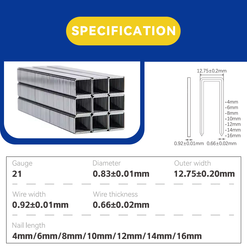 Rhinails 80 Series Galvanized Steel Staples | Full Size Range (1/4" To 3/5")