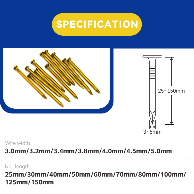 Rhinails 60# High Carbon Steel Cement Nails (25-150mm) for Concrete & Masonry