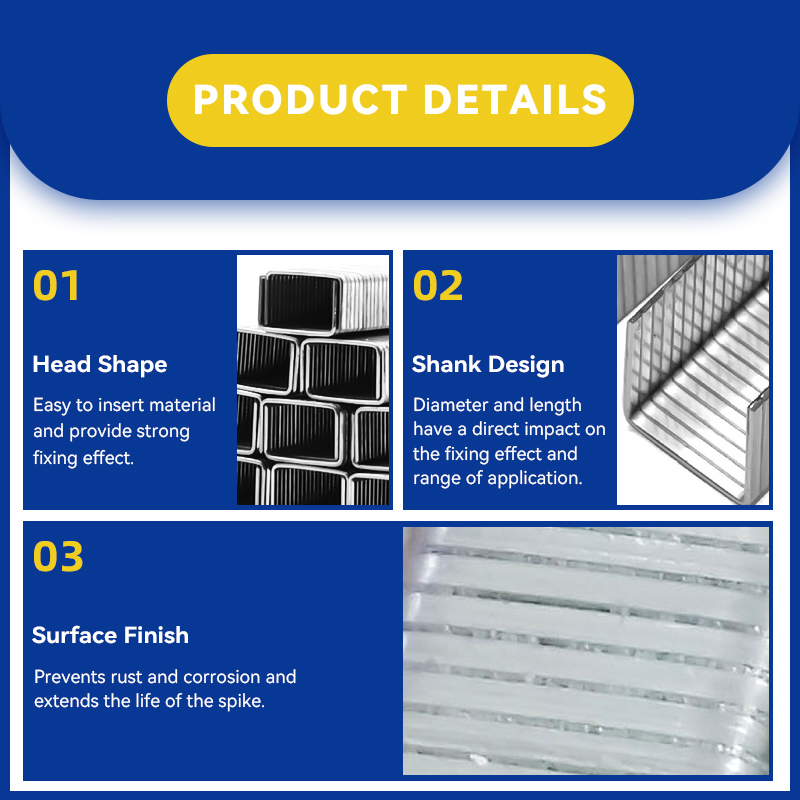 Rhinails 80 Series Galvanized Steel Staples | Full Size Range (1/4" To 3/5")