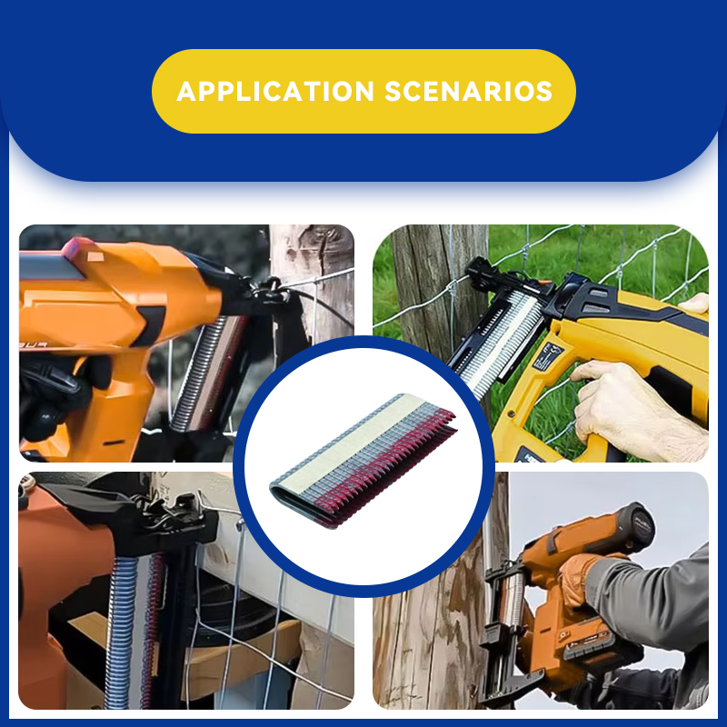 Rhinails Threaded Fence Staples - 28mm to 40mm Lengths for Secure Wire Fencing