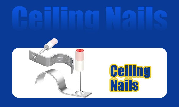 微信图片_20251027140920_264_352