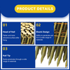 Professional Smooth Shank Coil Nails Collection for Framing and Construction