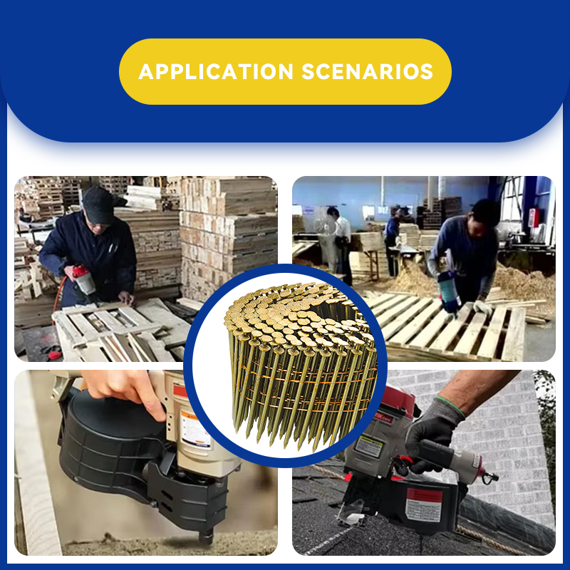 Professional Smooth Shank Coil Nails Collection for Framing and Construction