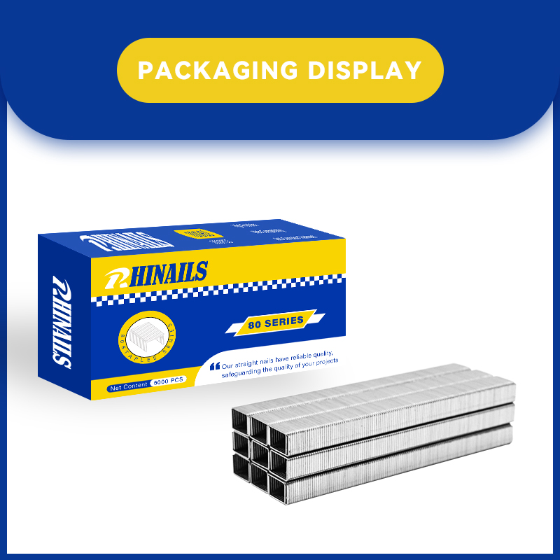 Rhinails 80 Series Galvanized Steel Staples | Full Size Range (1/4" To 3/5")