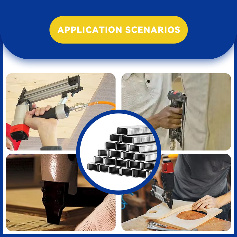Rhinails 10J Multi-Application Collated Staples