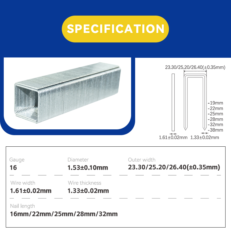 Rhinails P-Series 16-Gauge Pneumatic Crown Staples (19-50mm Multi-Size Pack)